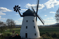 Neu_Windmuehle-II
