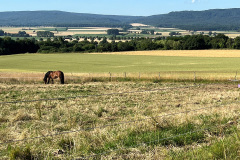 43Blick_vom_Lauseberg