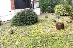 5-Garten