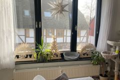 10-Fenster-Whz