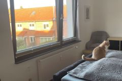 15-Schlafzimmer-Bild-2