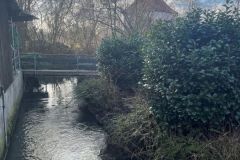 30-Bach-hinterm-Haus