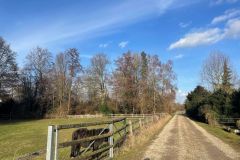 31-Spazierweg-hinterm-Haus