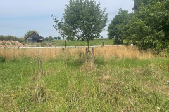 2-Grundstueck_Bild_2