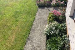 19-Blick-in-den-Garten