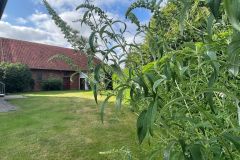 21-Garten_4