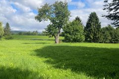59-Blick-auf-den-Suentel_2