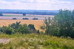 8-Blick-aus-dem-OG