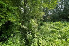 3-Grundstueck-Richtung-Bachlauf