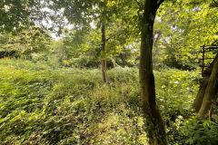 4-Grundstueck-Bild-2