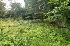 5-Grundstueck-Bild-3