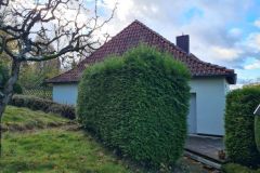 40Westseite_mit_Garten