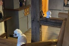 13-Blick-in-die-Kueche