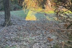 7-Garten-Bild-2