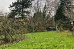 15_Gruenflaeche