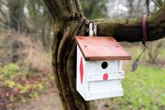 16_Vogelhaeuschen
