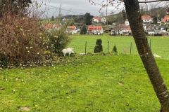 1_Blick-nach-vorn