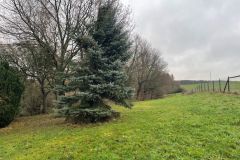 3_Landwirtschaftliche_Flaeche