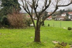 48_Garten-Bild-3
