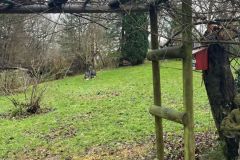 49_Garten-Bild-4