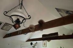 52_Gartenlaube_innen