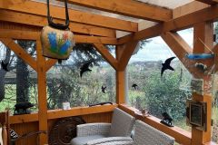 54_Wintergarten-an-der-Gartenlaube