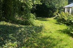 4Garten