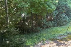 6Terrasse-am-Wohnzimmer