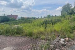 Bild-4
