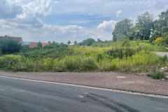 Bild-6