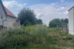 Bild-2