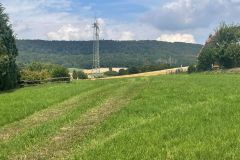 Umgebung
