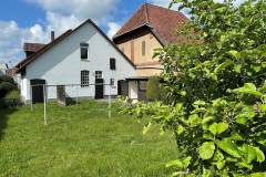 4-Garten-Bild-3