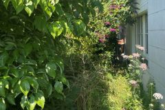 24Garten-links