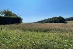 34Ortsrand-Richtung-Bennigsen