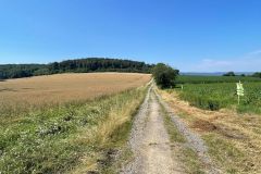 36Wohnen-in-wunderschoener-Natur