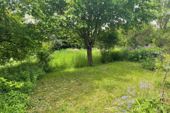 10-Garten